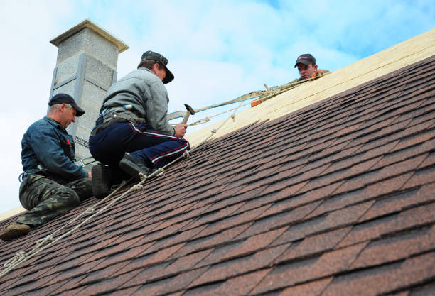 Best Shingle Roofing Installation  in Ashland, IL